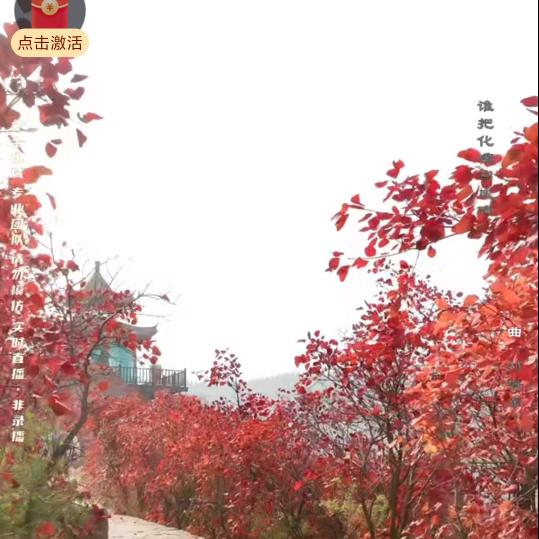 80后超姐《❤️虎拒绝私聊❤️》