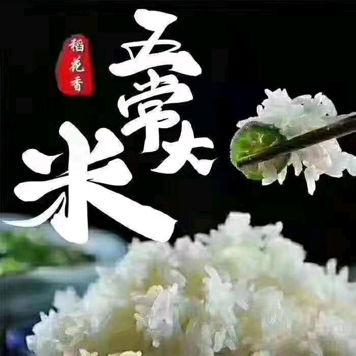 环保管家/五常大米/小刘老师