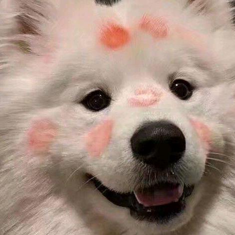 我真是拾伍伍吗？