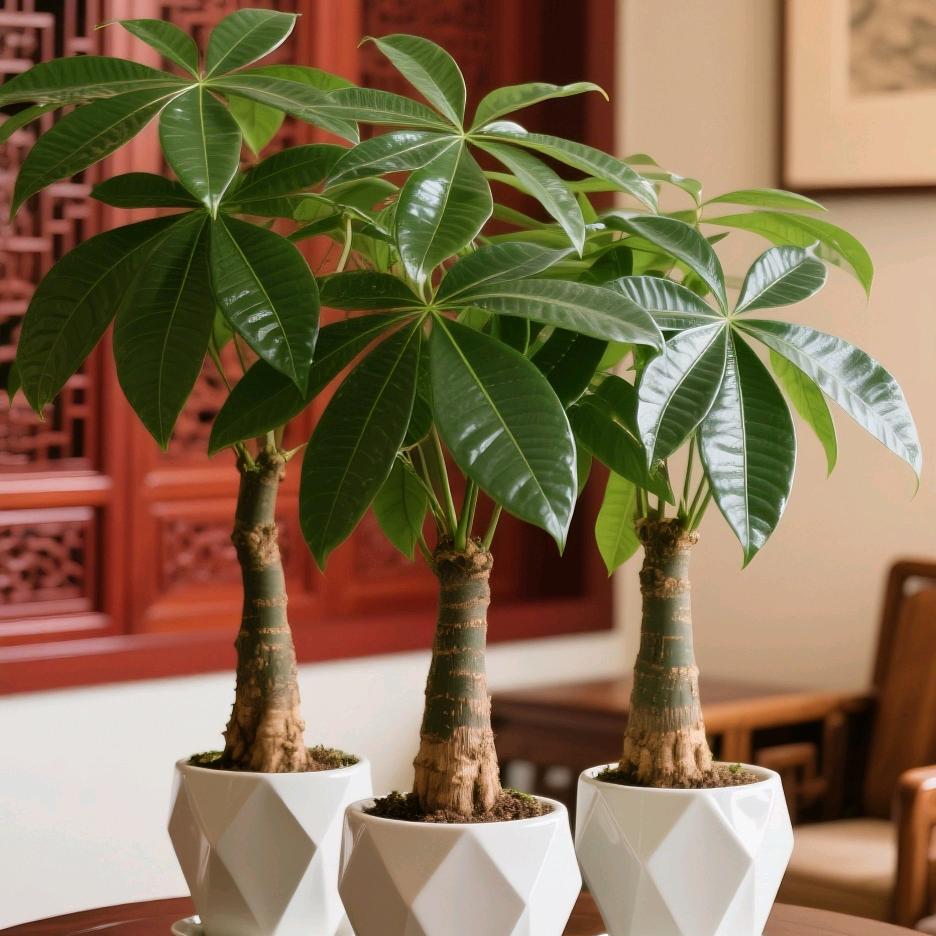 小杨园艺
