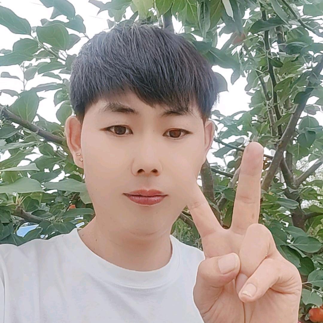 杨杨重新开始