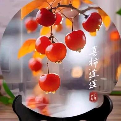 5927往事 不在有我