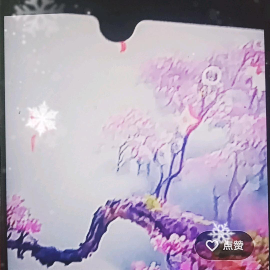 中国之花882。