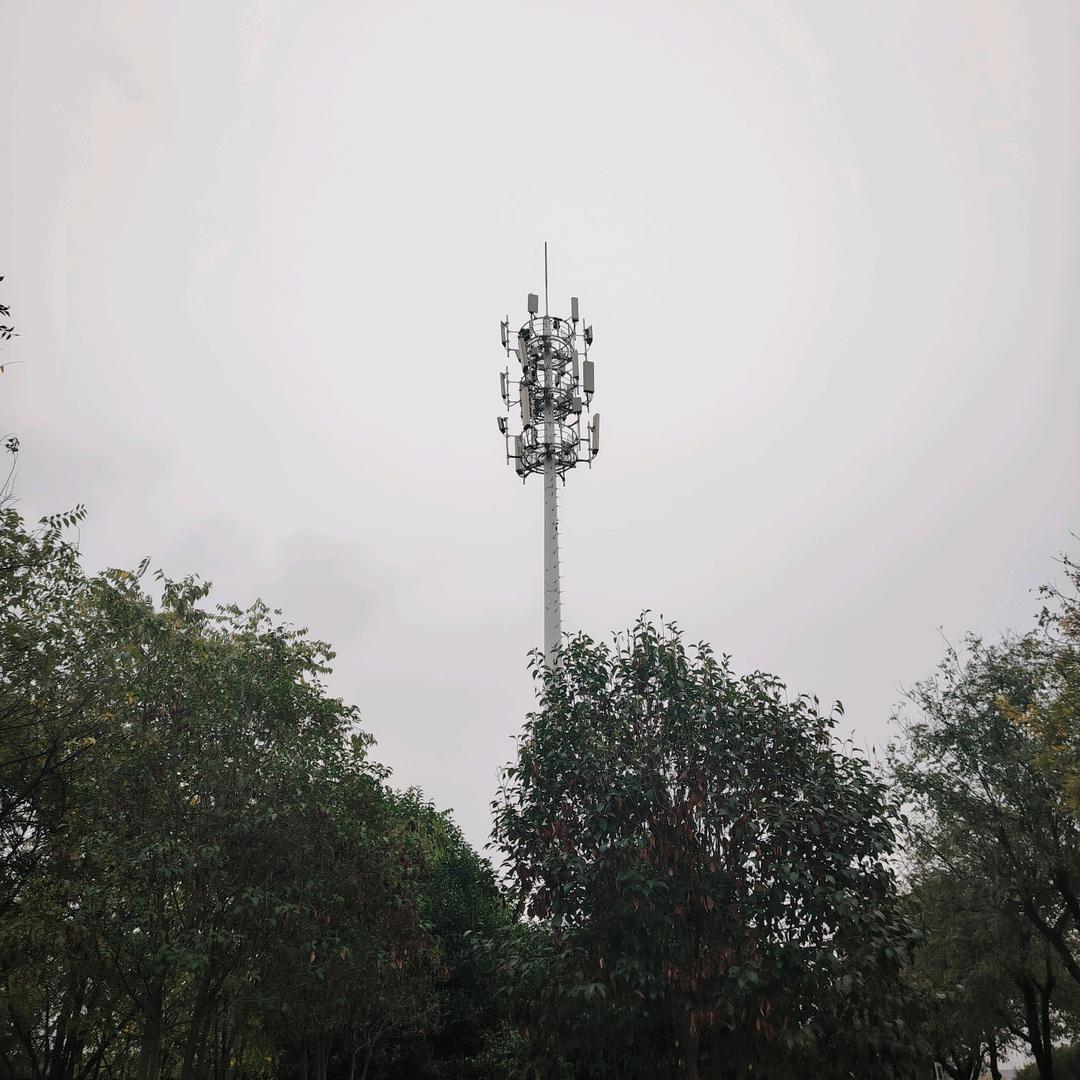 终于戒掉你