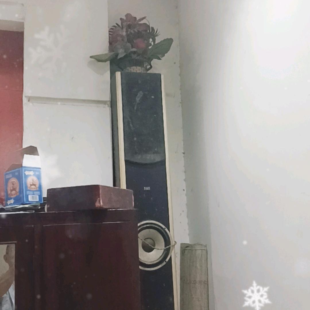 我是荣光歌