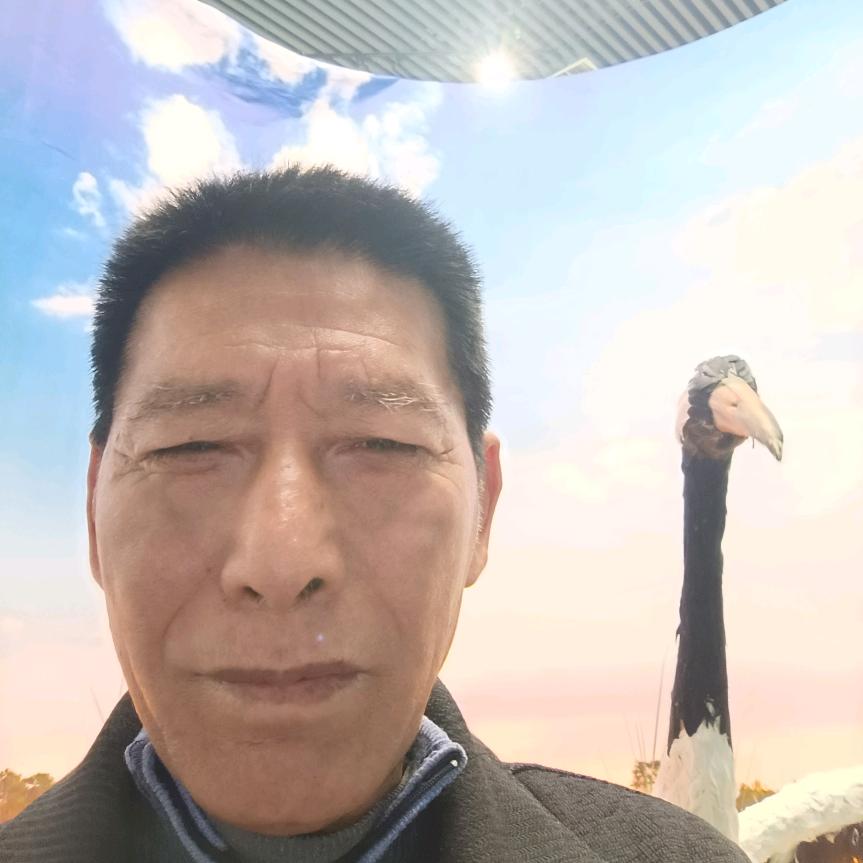 谷柏禄
