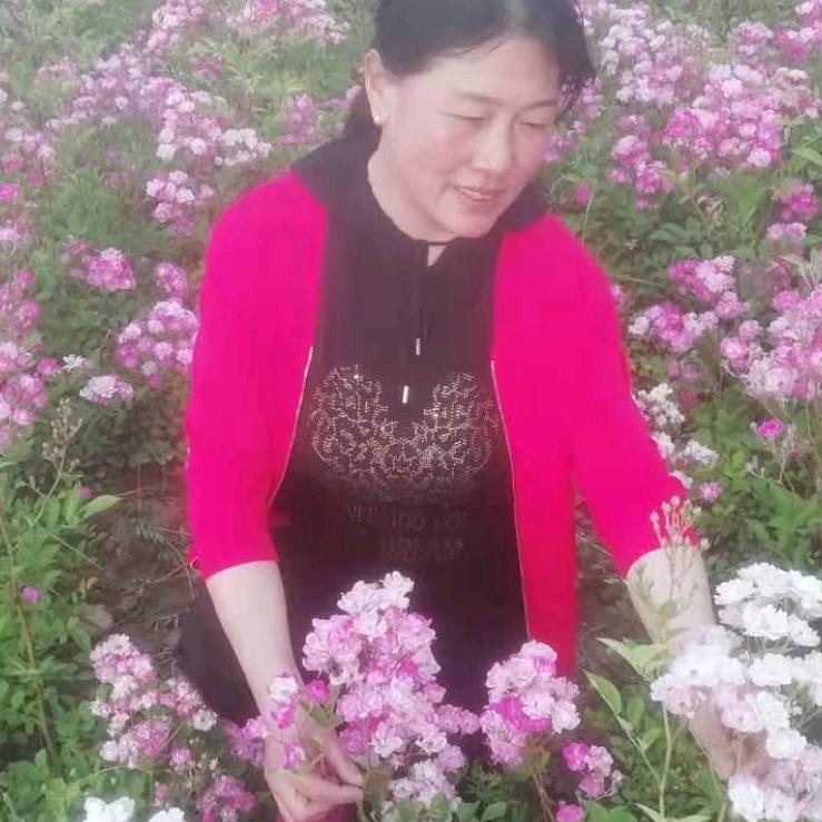 小翠