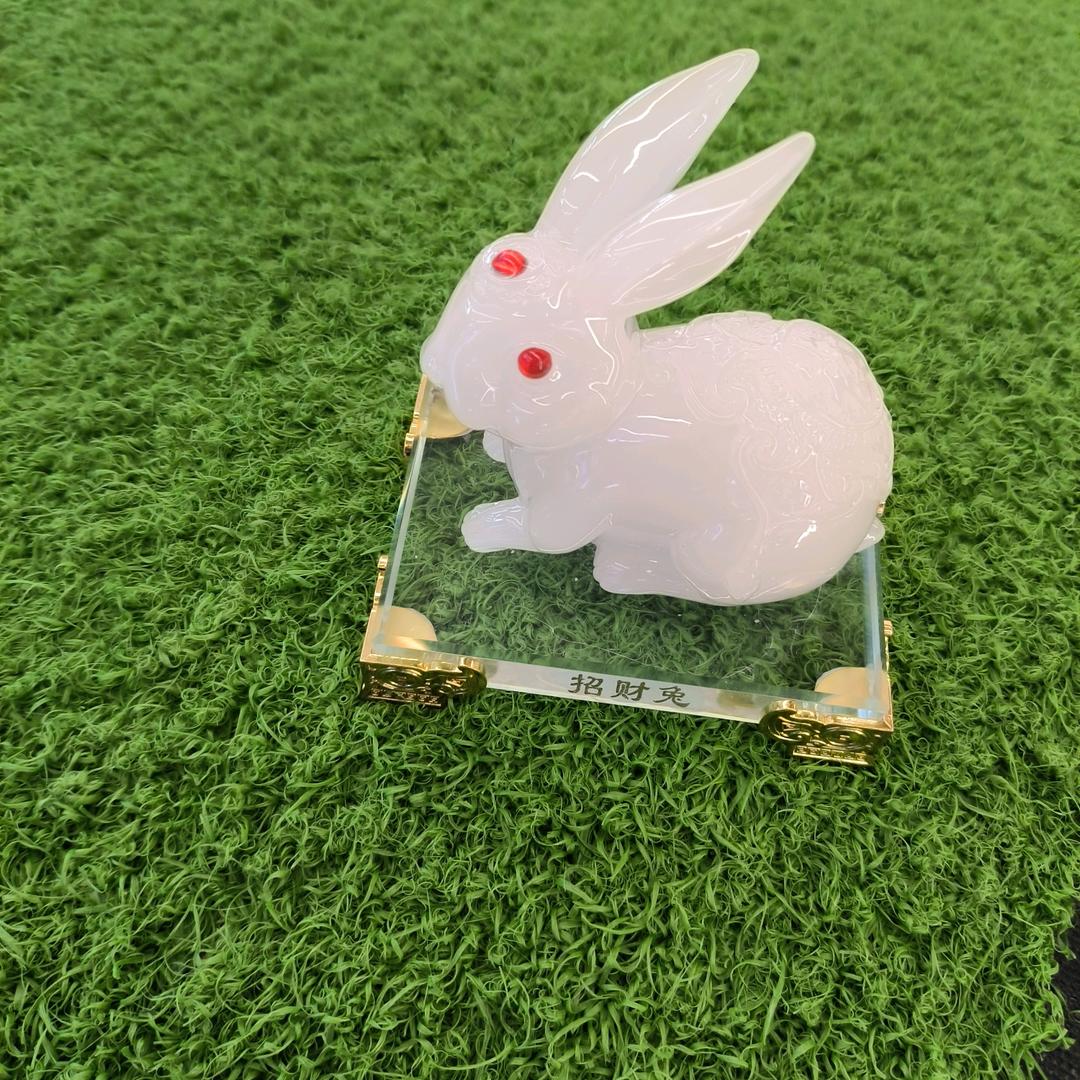 面向未来