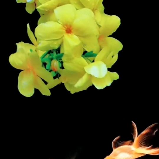 一见钟情爱上你