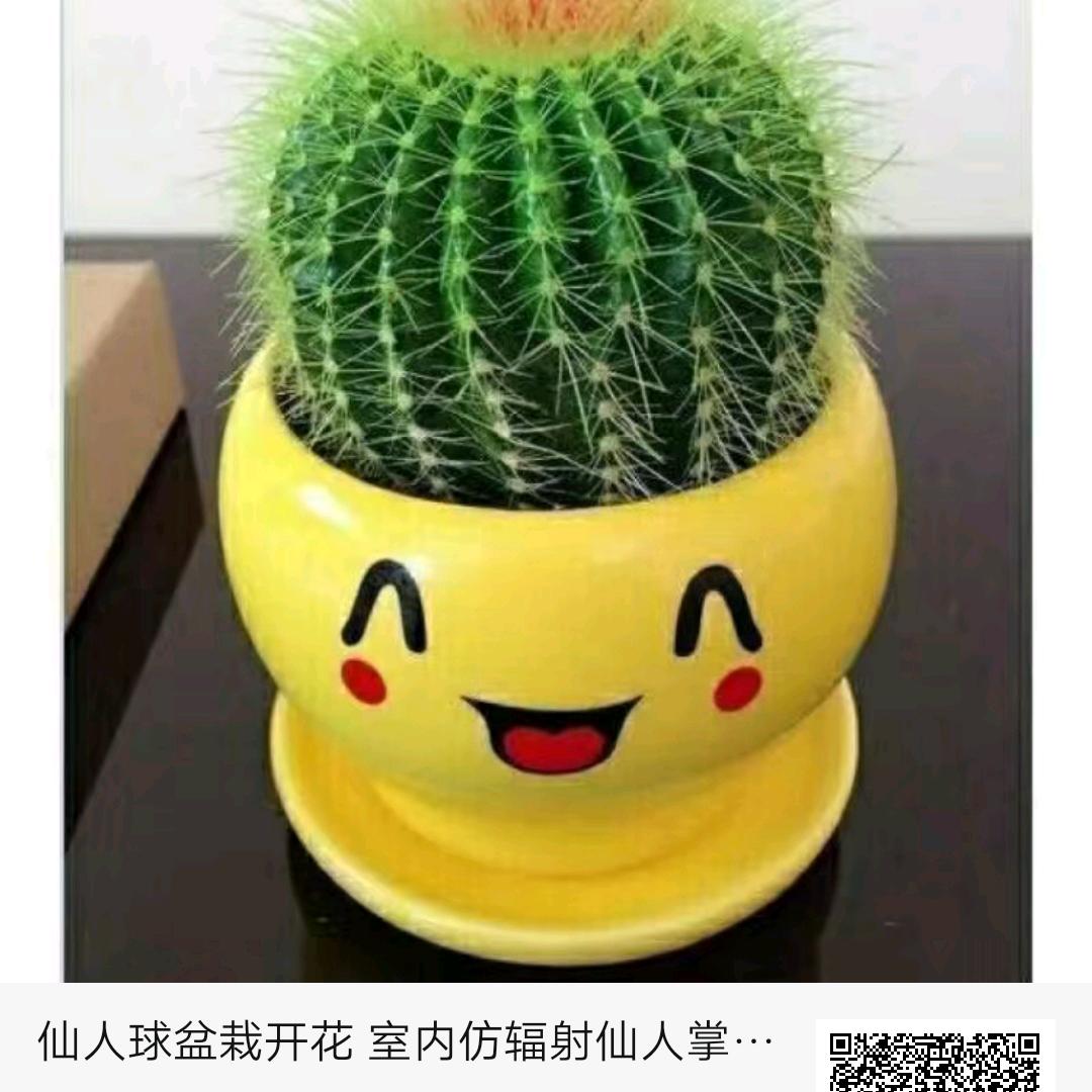 我就是我