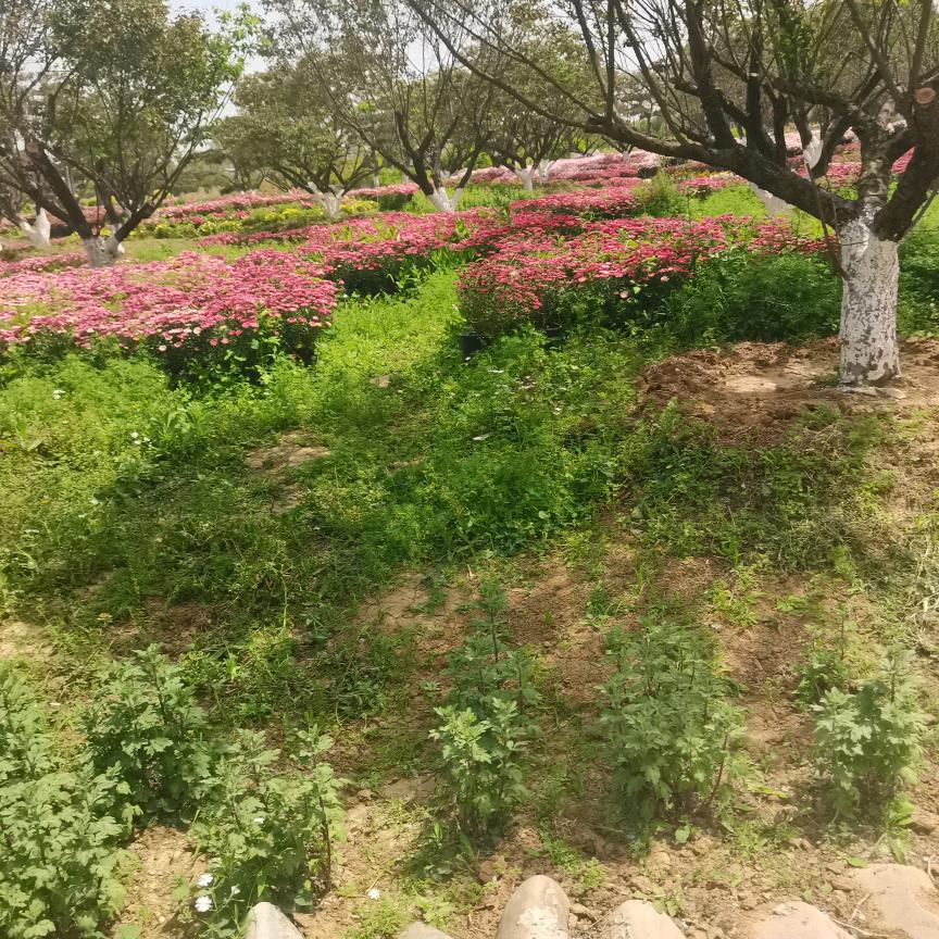 时来运转，一切都在往好的方向发展