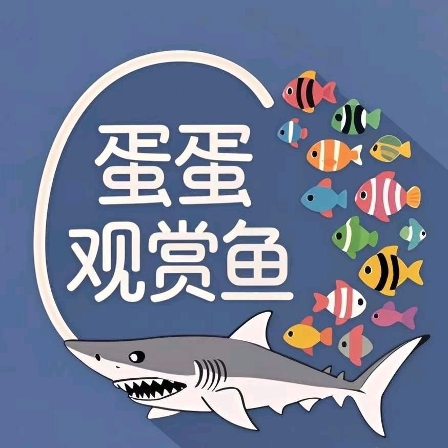 蛋蛋渔厂热带鱼养殖