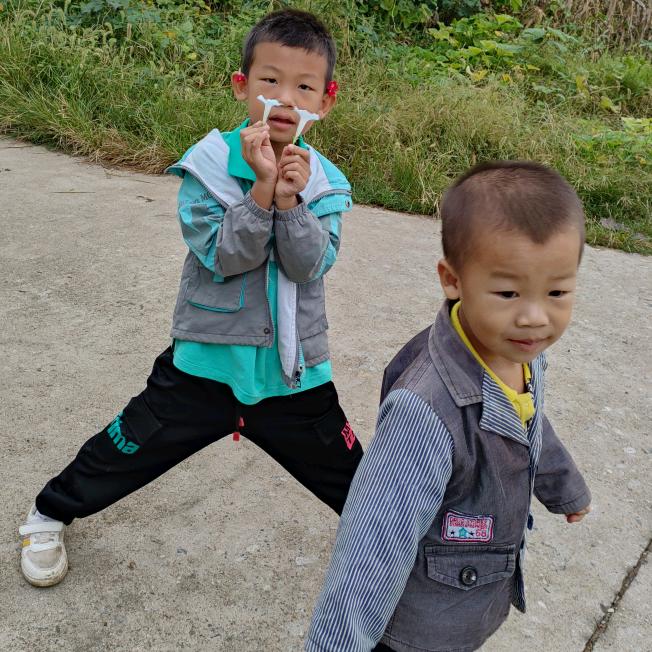 杨杨两个儿子的日常。