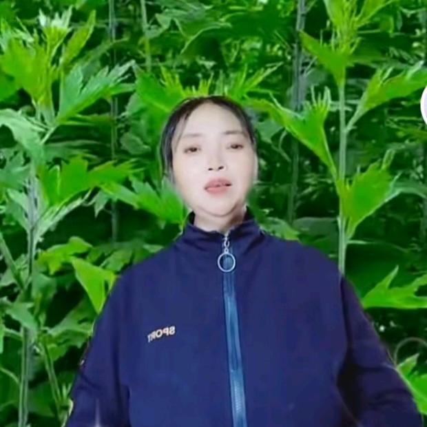 @开心姐