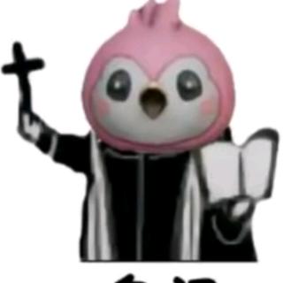 海鸥眷恋大海୧⍤⃝🏸