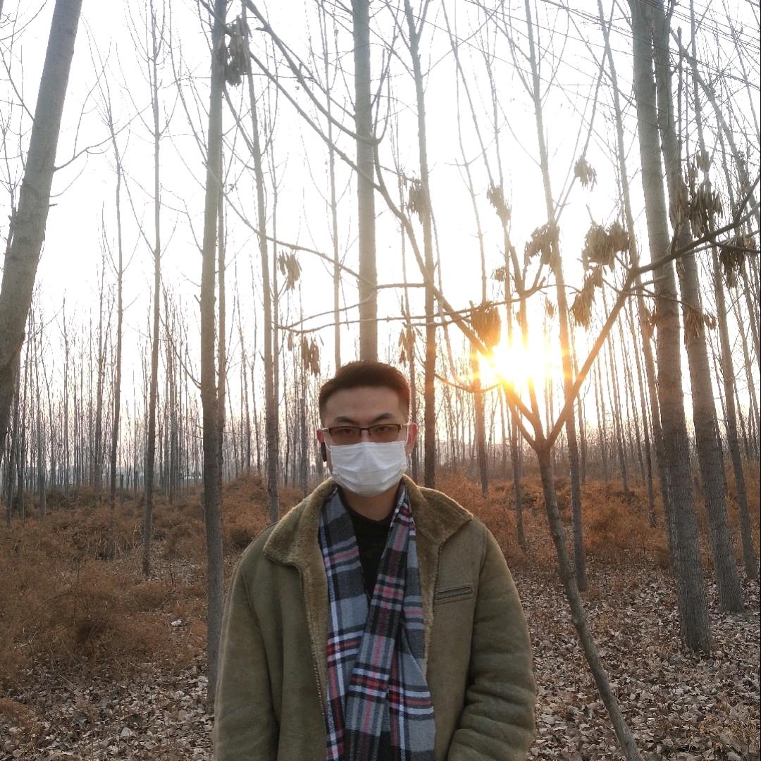 骑乌鸡的小狮子