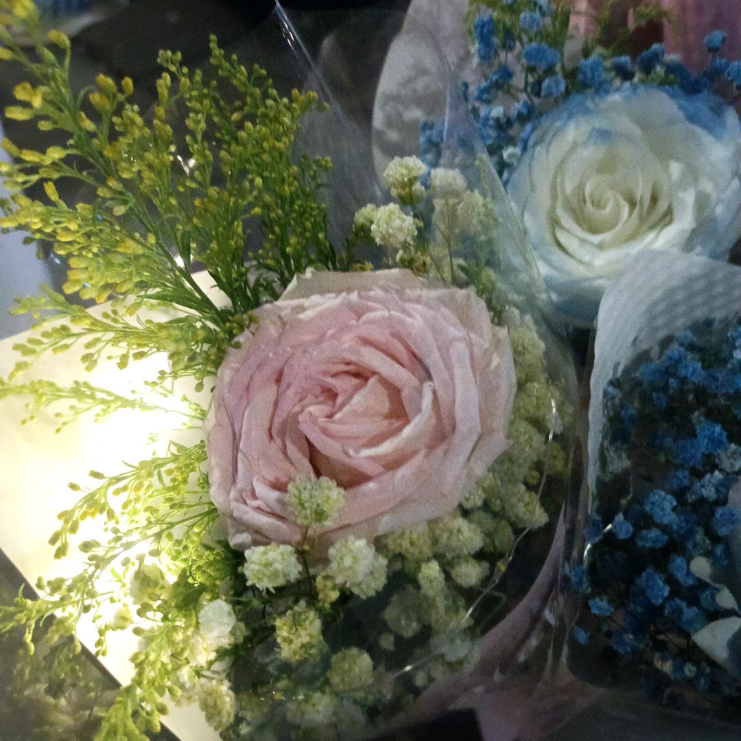 瑞香花🌸在攀岩