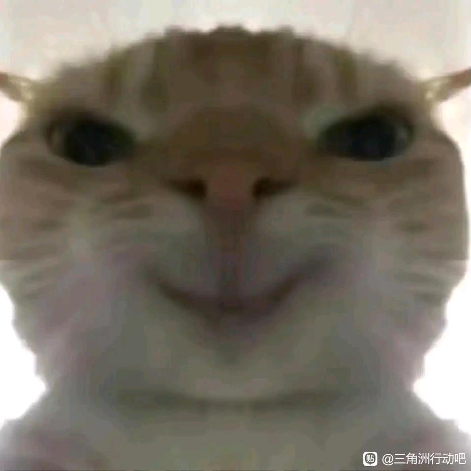 完美哈基峰