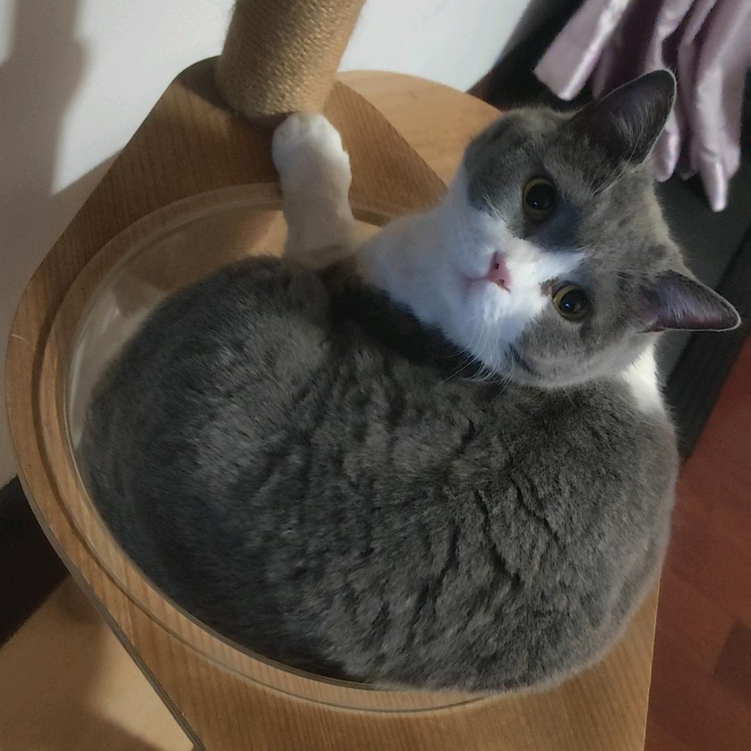 醉后不知天在水，满船清梦压星河。