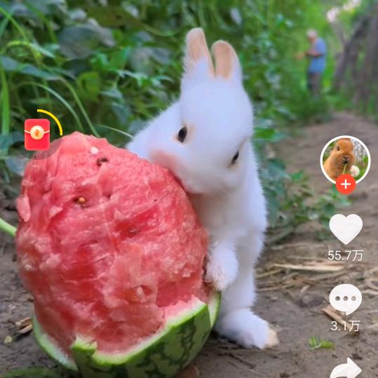 快乐的生活😄😄😄