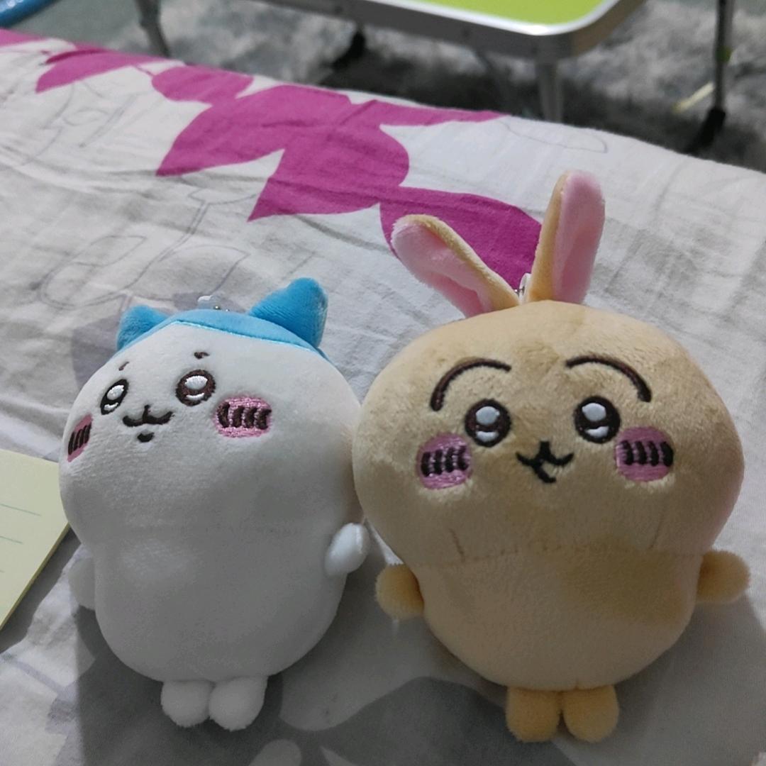 风雨无阻