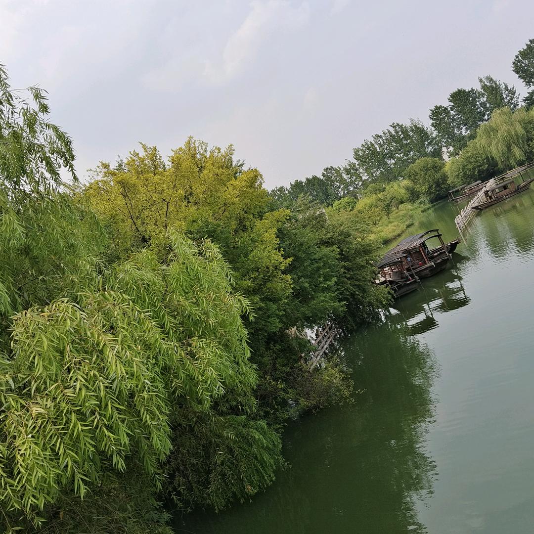 ☀红☀豆☀🎈☀🎈许多年以后