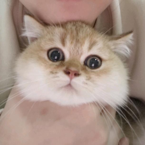 铁石心肠的人
