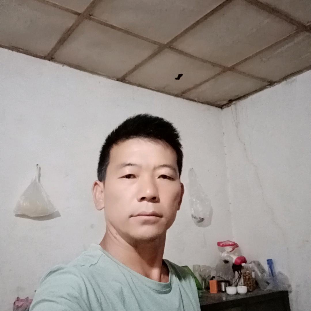 远走高飞
