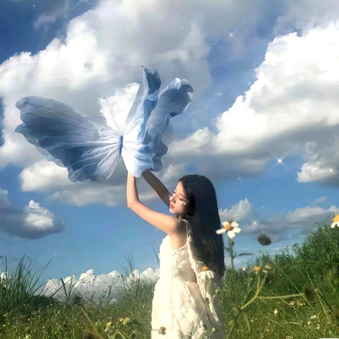 宁远秘制手撕鸡