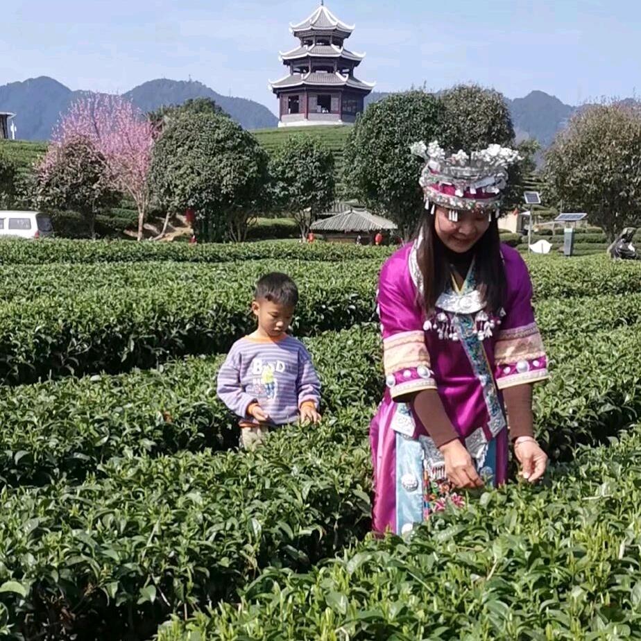爱的蔓延