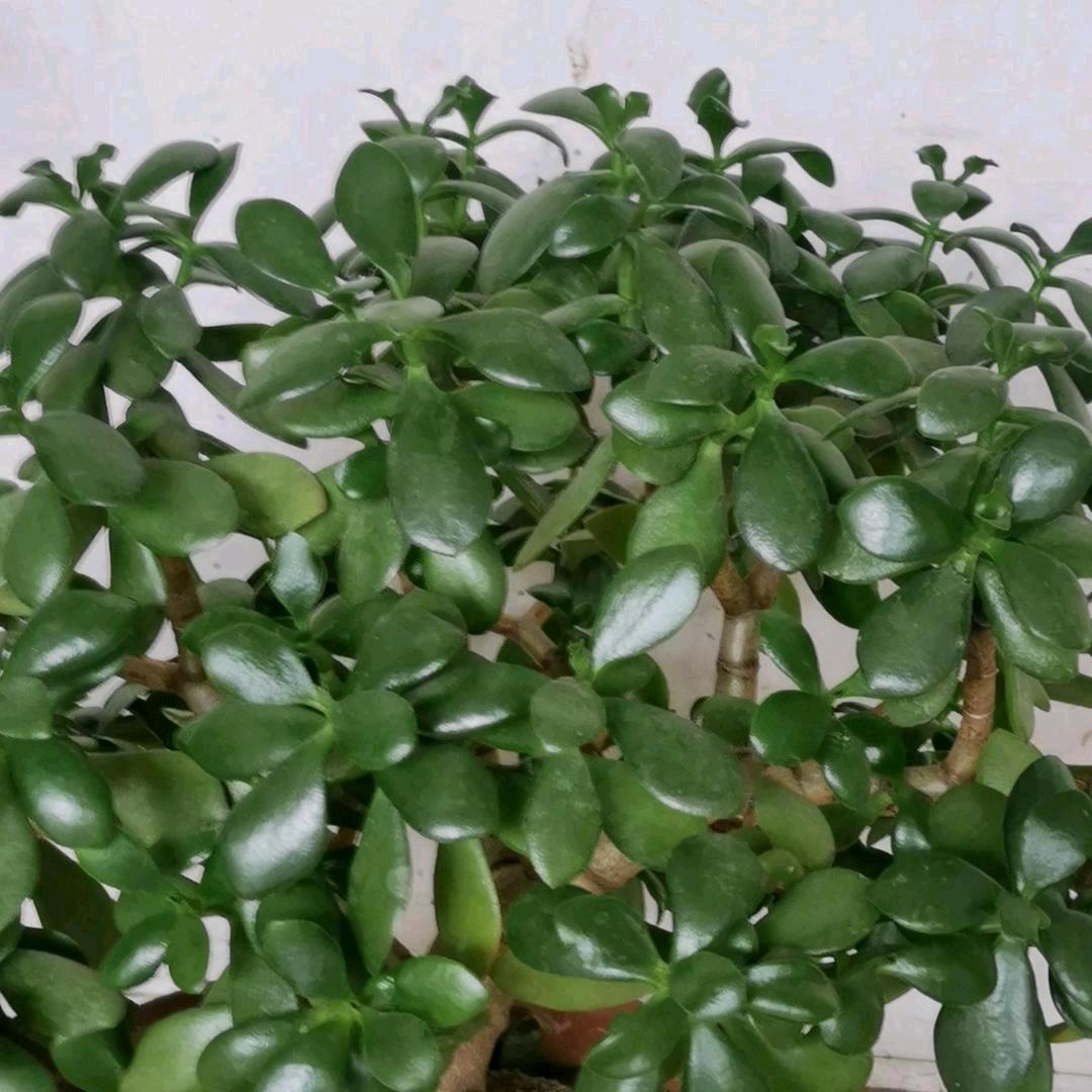 心情鱼台县，