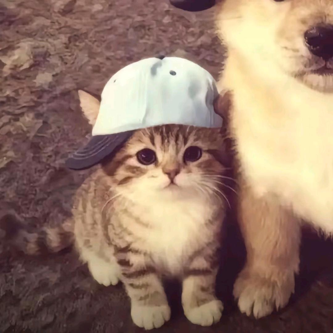 ^⎚˕⎚^