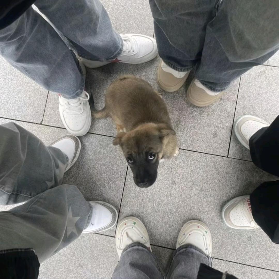 满目青山矸