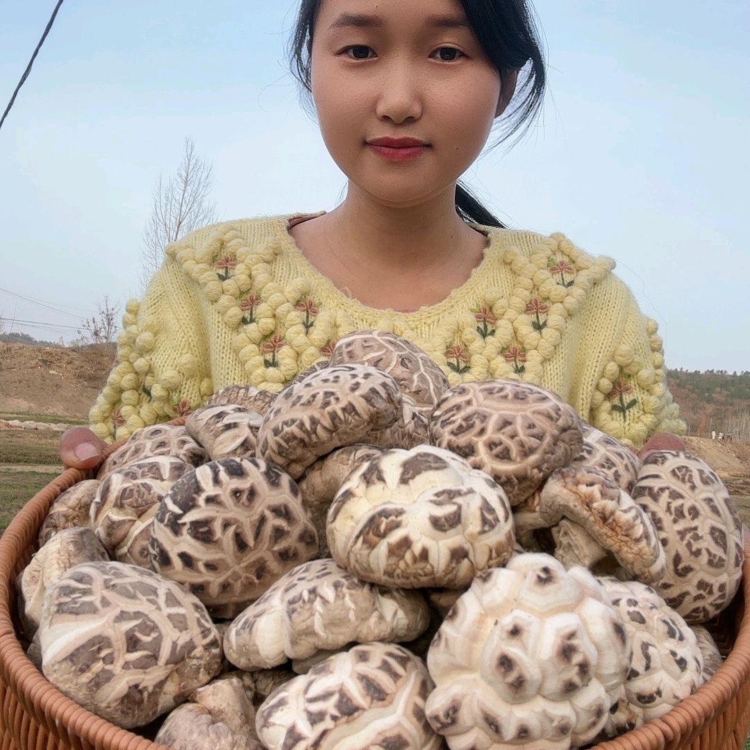 艳子香菇