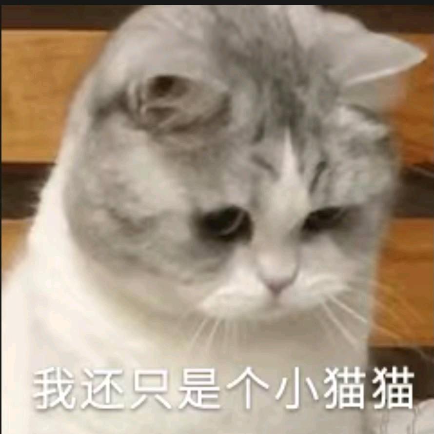 哈哈。音乐