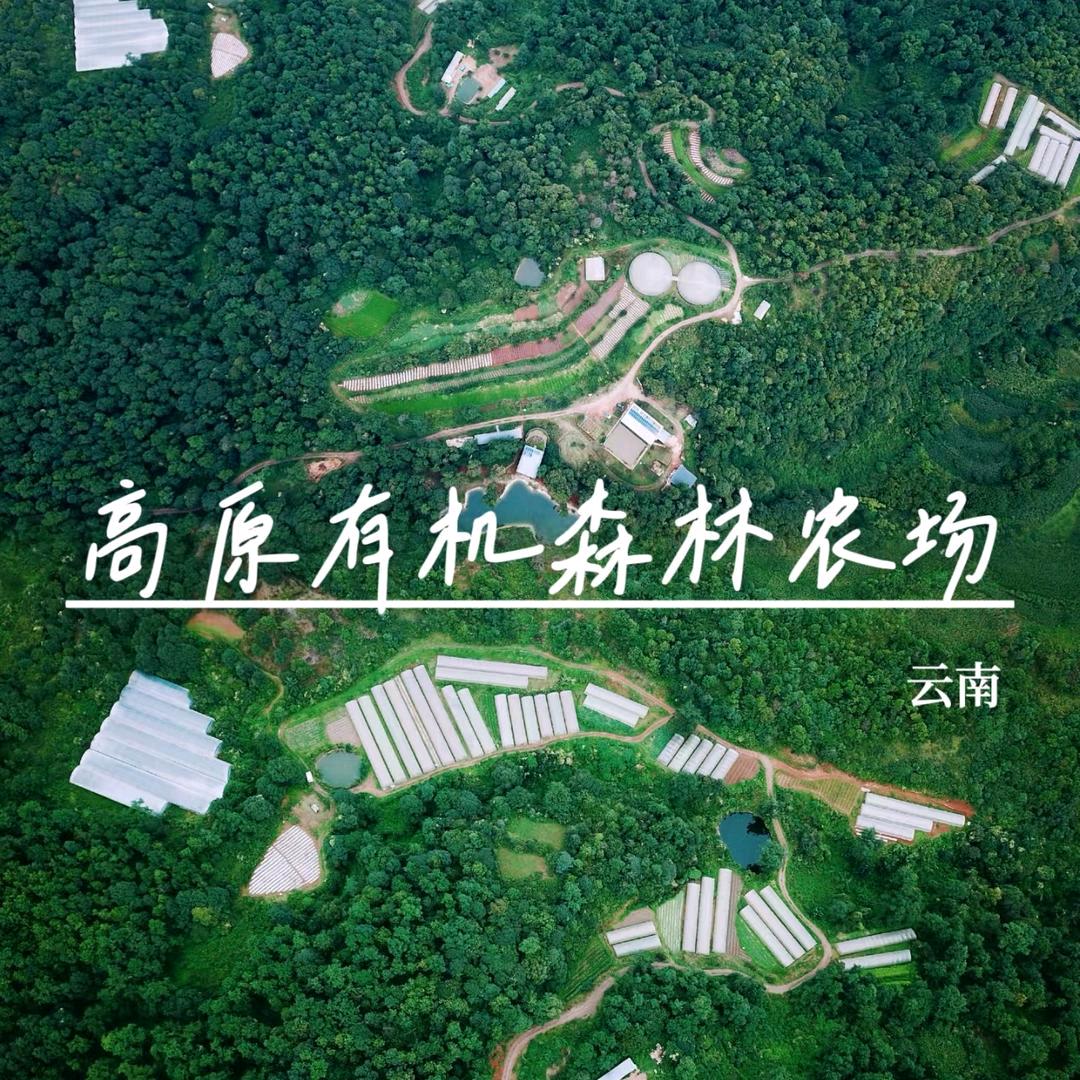 优鲜坐标有机农场优选号