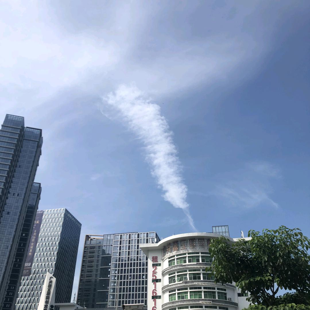 龙华芬毯