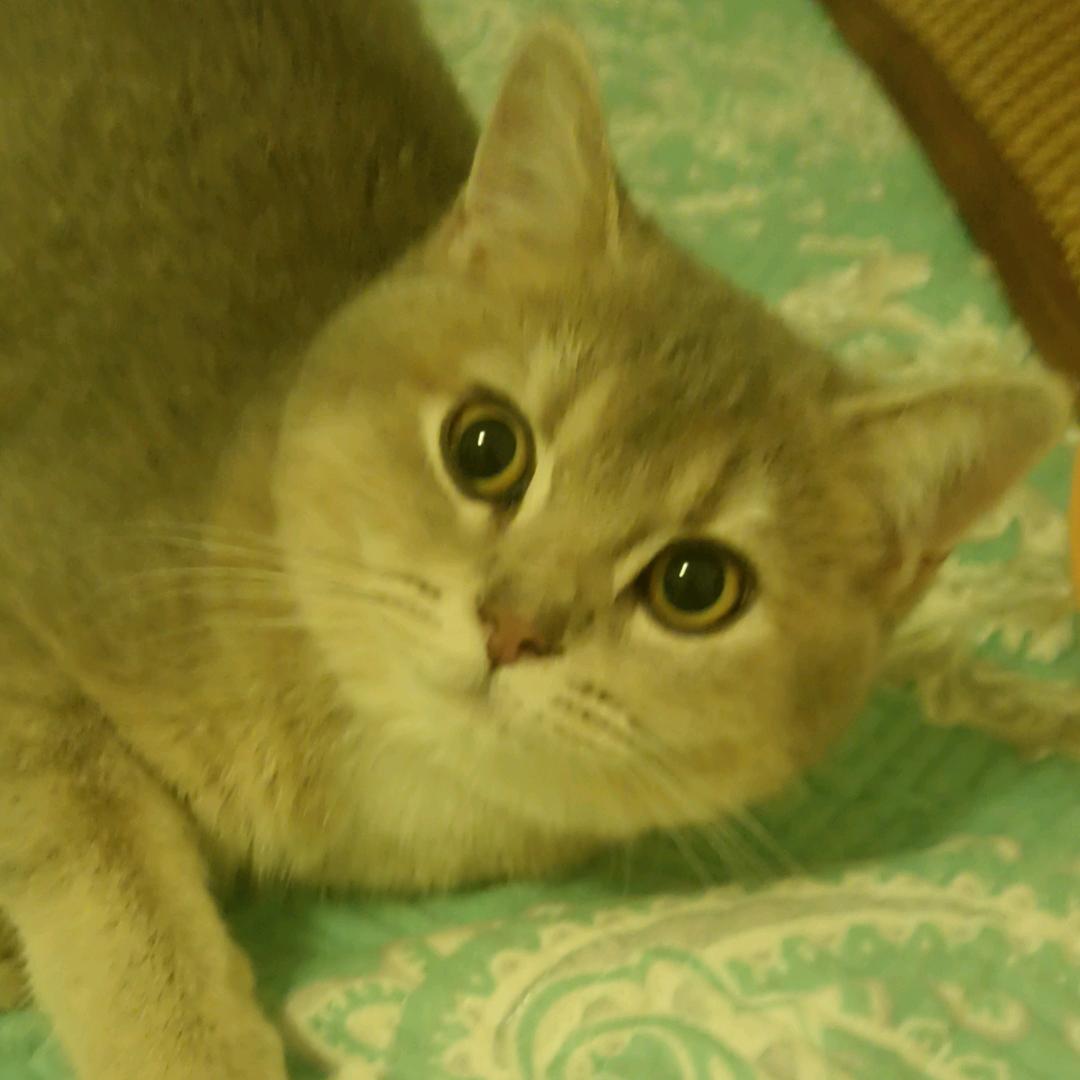 杨勇