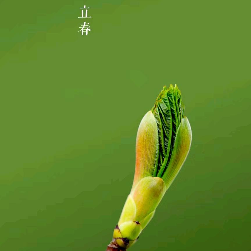 张[null]