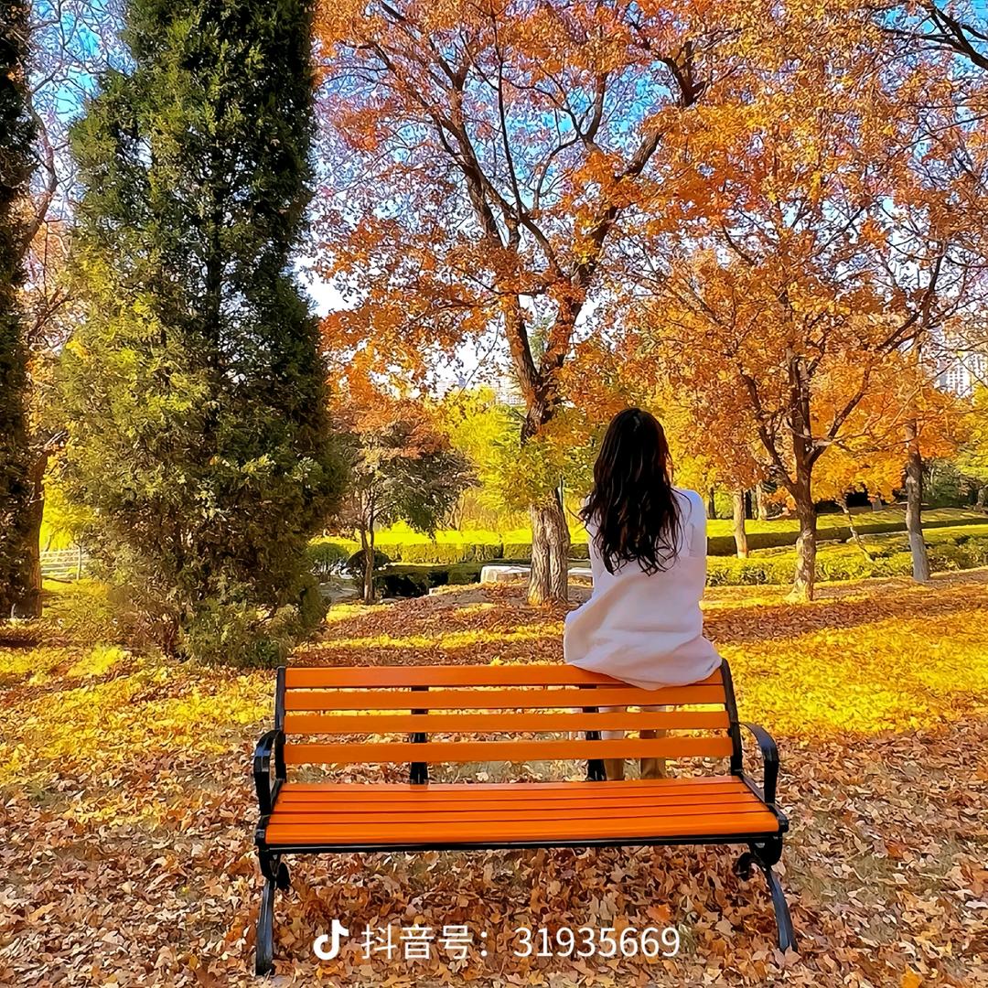 (❁美丽´◡`人生❁)*✲ﾟ*