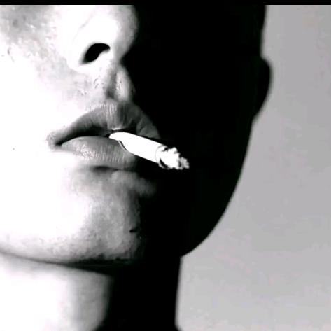 艺高人胆大