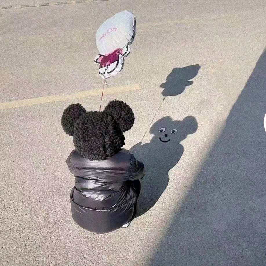 单身    才哥