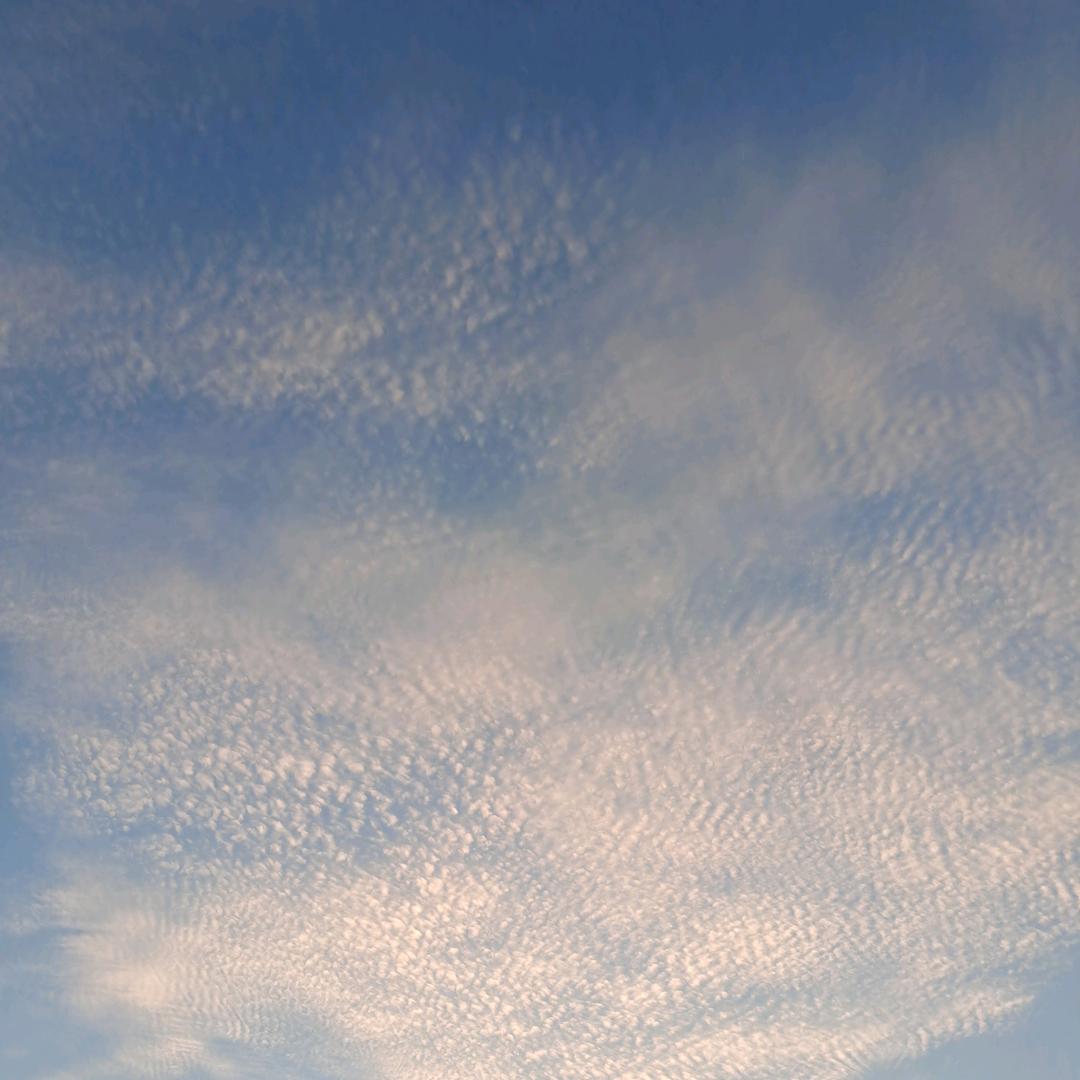 *⁂((✪⥎✪))⁂*