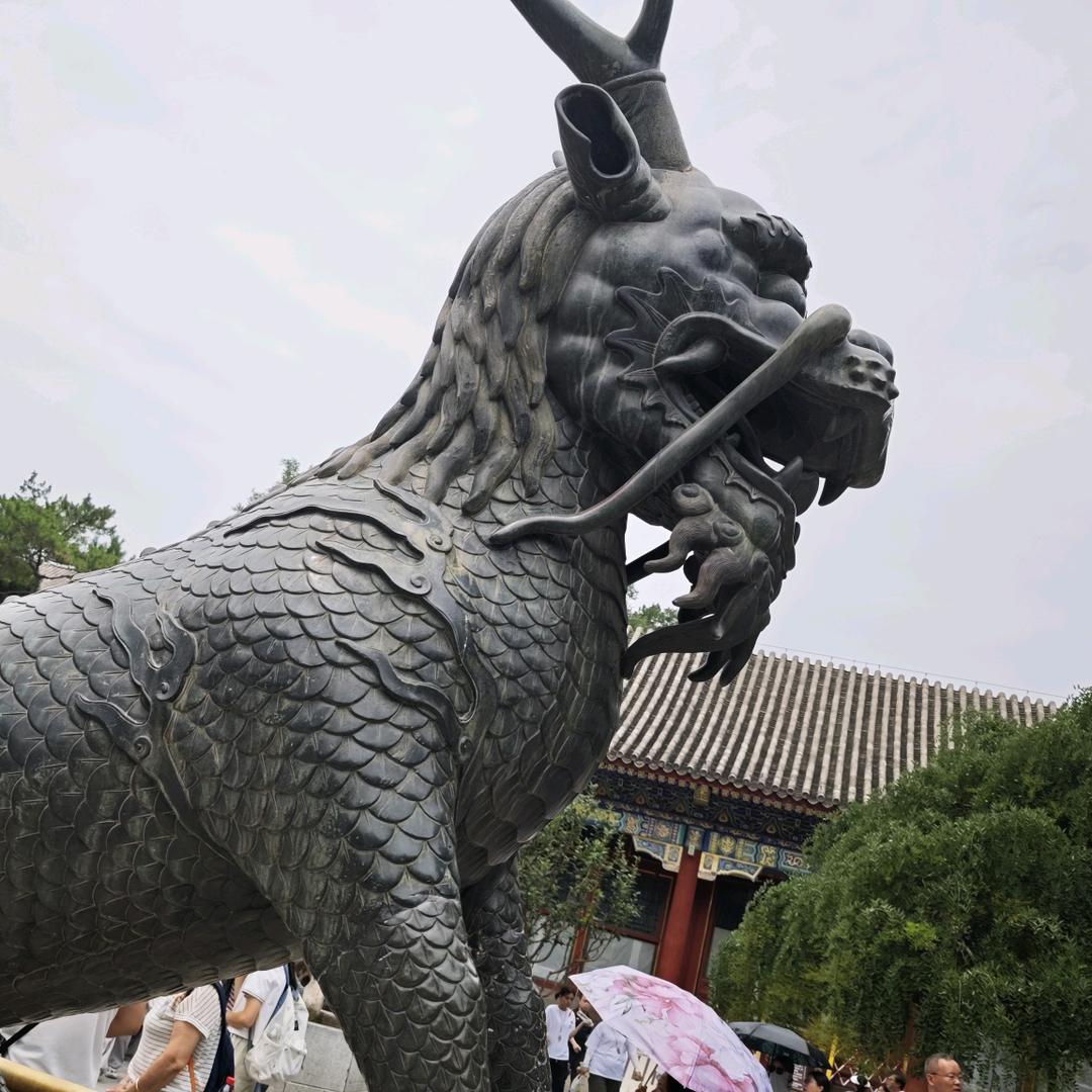 馬麒麟