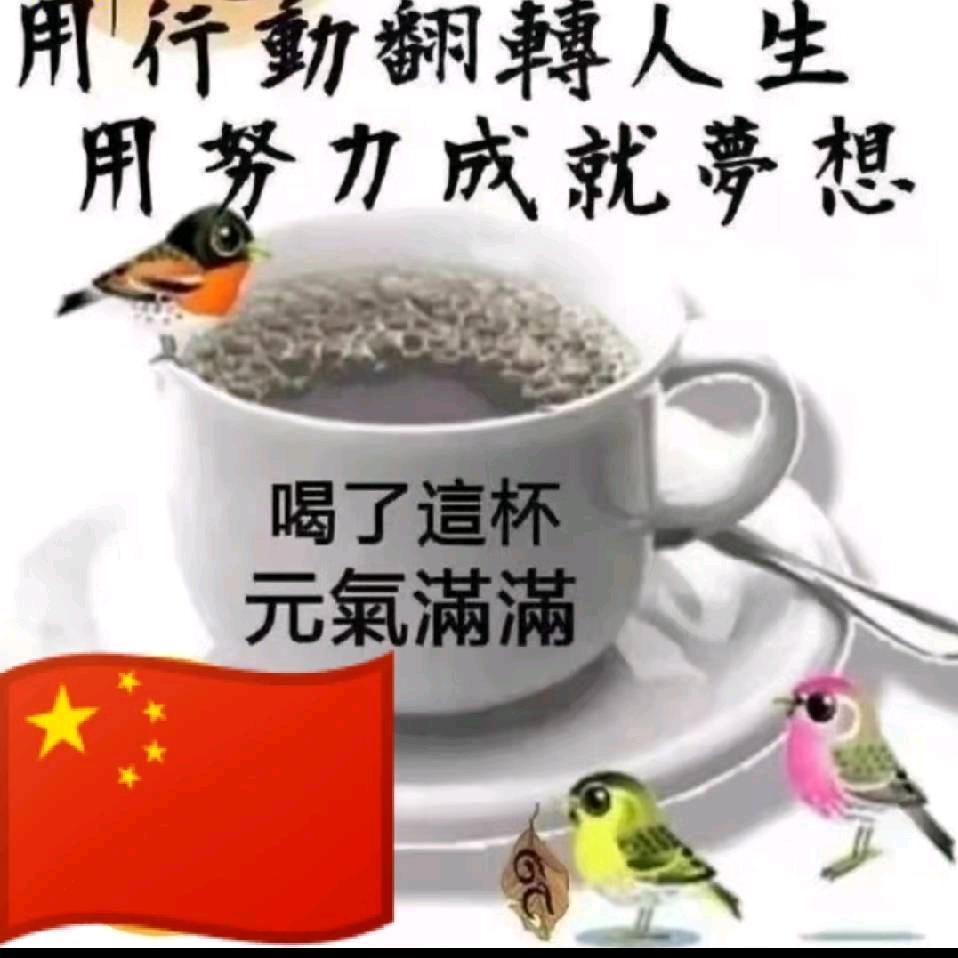 @舒虎歌