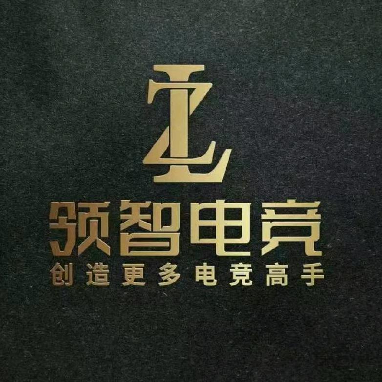 领智电竞8