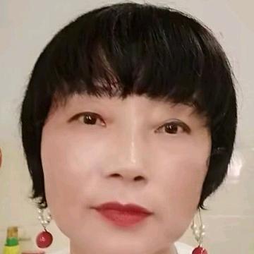 洋杨