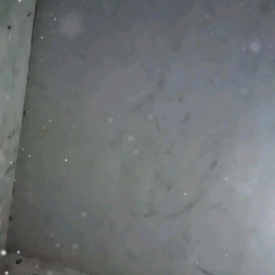 王者宝哥