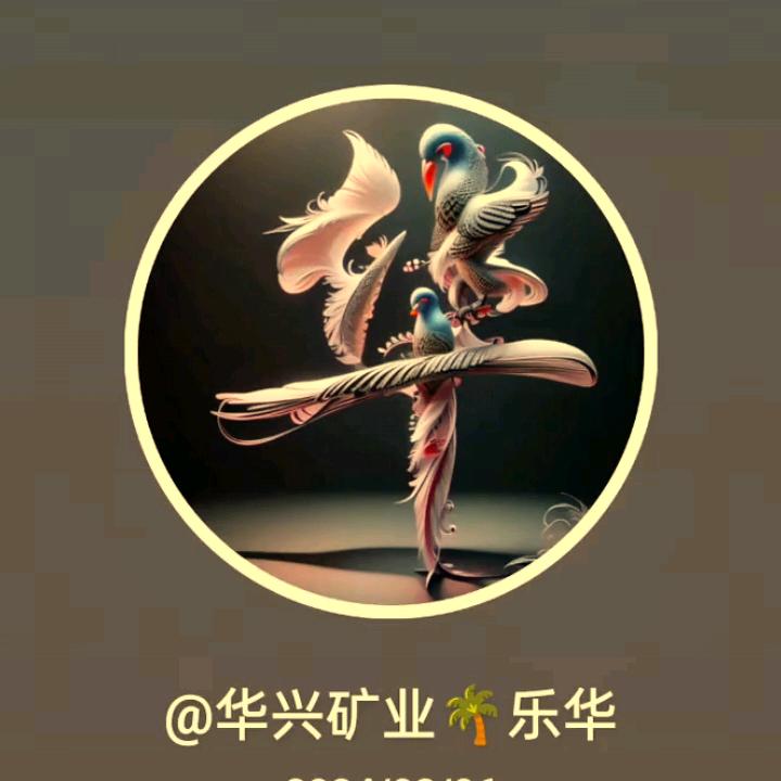 华兴矿业🌴乐华
