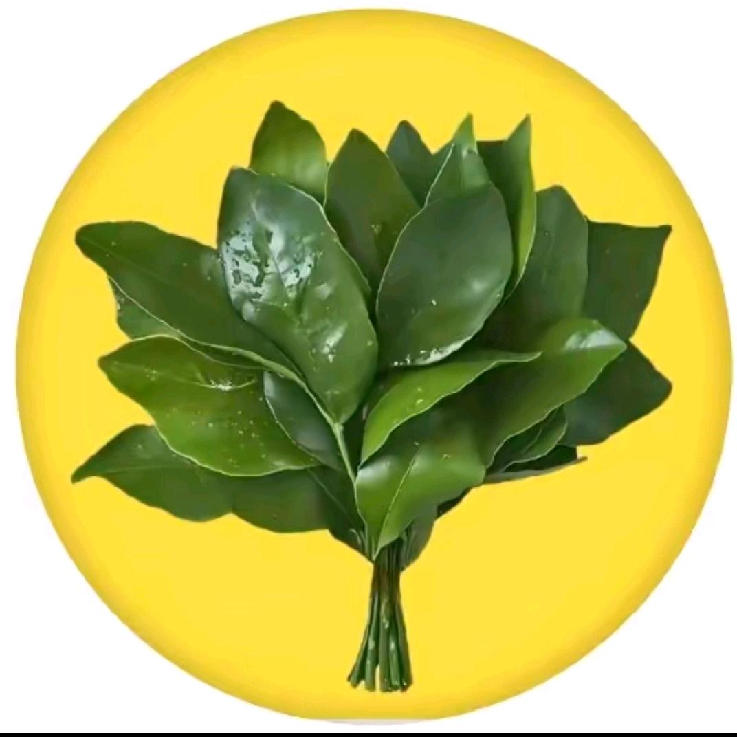 果果妹妹苗苗